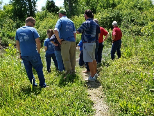 people hiking through weeds